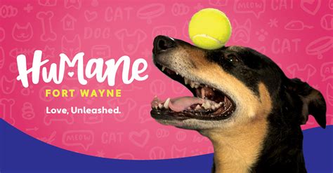 Humane Shelter Fort Wayne Indiana: A Haven for Hope