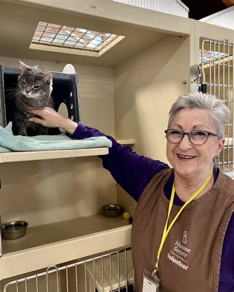 Humane Society Colorado Springs: Saving 4,500 Pets Each Year