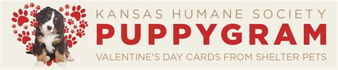 Humane Society KC KS: Helping 3,456 Animals in 2023