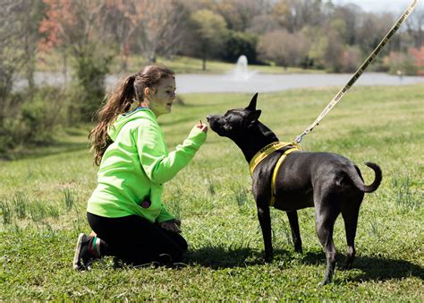 Humane Society of York County