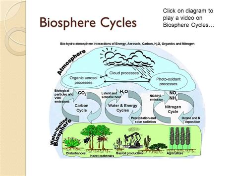 Humans In The Biosphere Answer Key Kindle Editon