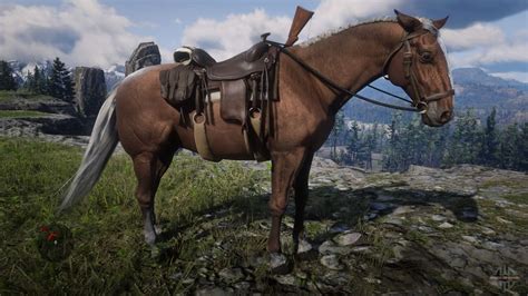 Hungarian Half-Bred RDR2: Your Guide to Finding the Perfect Horse