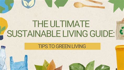 Huniboo: The Ultimate Guide to Healthy and Sustainable Living