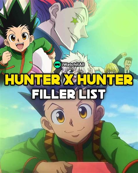 Hunter x Hunter Filler: The Complete Guide