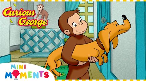 Huntley the Dog and Curious George: An Unbreakable Bond