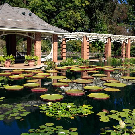 Huntsville Alabama Botanical Gardens: A Verdant Oasis in the Heart of the Valley