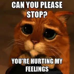 Hurt Feelings Memes: The Ultimate Remedy for Emotional Wounds