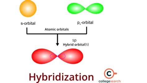 Hybridization: A Key Concept in Chemistry