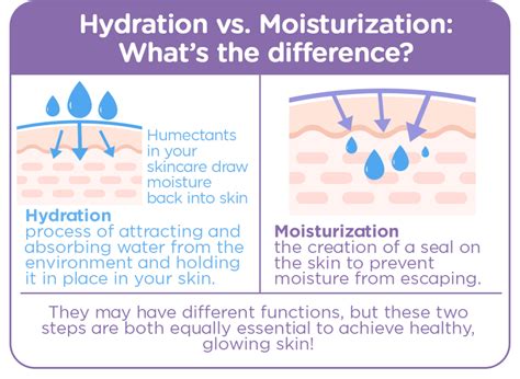 Hydration and Moisture: