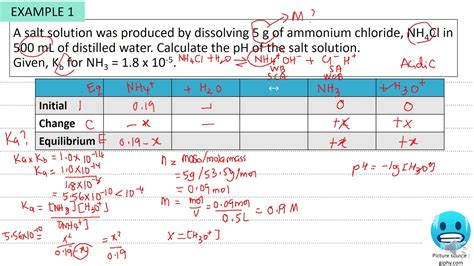 Hydrolysis Lab Answers Doc