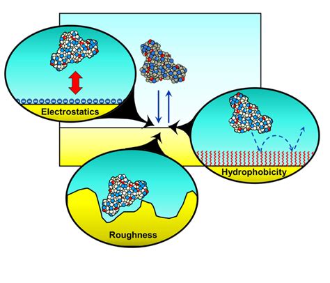 Hydrophobicity: