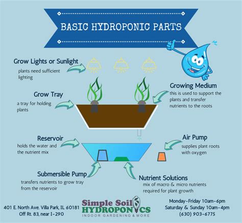 Hydroponic Basics PDF