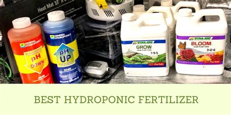 Hydroponics Fertilizer: 101 and Beyond