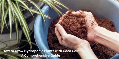 Hydroponics Fertilizers: A Comprehensive Guide to Nutrients for Plant Growth