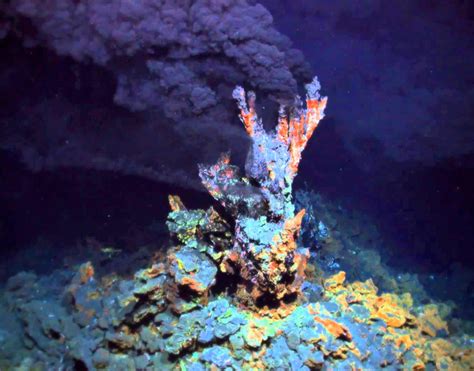 Hydrothermal Vents: