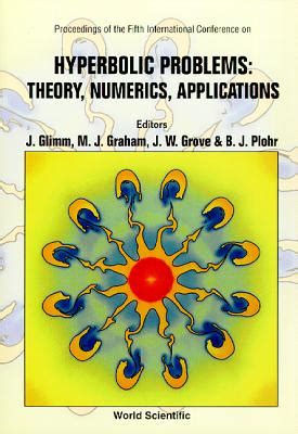 Hyperbolic Problems Theory Epub