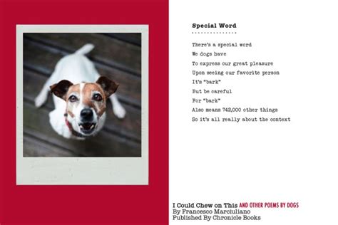 I Could Chew on This And Other Poems by Dogs Doc