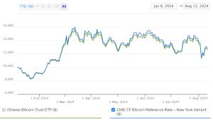 IBIT Stock Price Prediction 2030