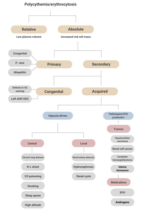 ICD-10 for Polycythemia: Your Ultimate Guide to Classification and Treatment