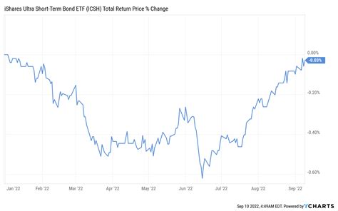 ICSH Dividend: A Detailed Analysis for Investors