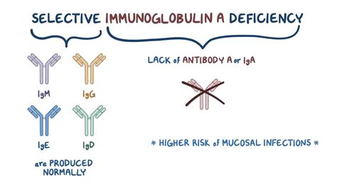 IGA: A Comprehensive Guide to Immunoglobulin A Deficiency