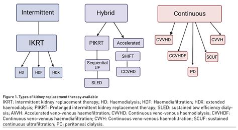 IGA: Moving Beyond Traditional Kidney Replacement Therapy