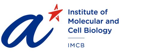 IMCB: A Global Leader in Research