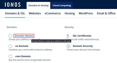 IONOS: Your Ultimate Guide to Domain Registration and Web Hosting in 2025