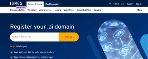 IONOS domain registration form completion