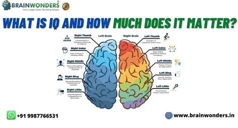 IQ Test Cerebrum: Exploring the Brain's Intelligence Hub