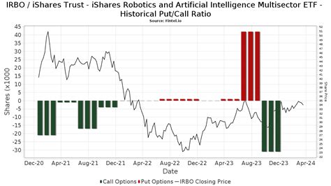 IRBO Stock Price: A Comprehensive Analysis