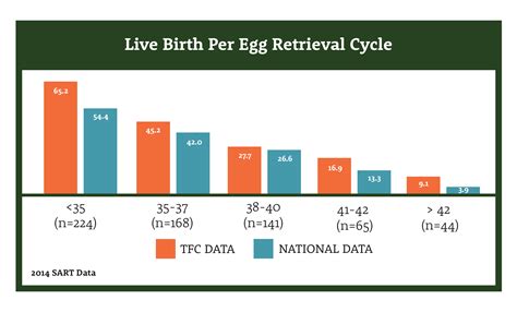 IVF Success Rate: