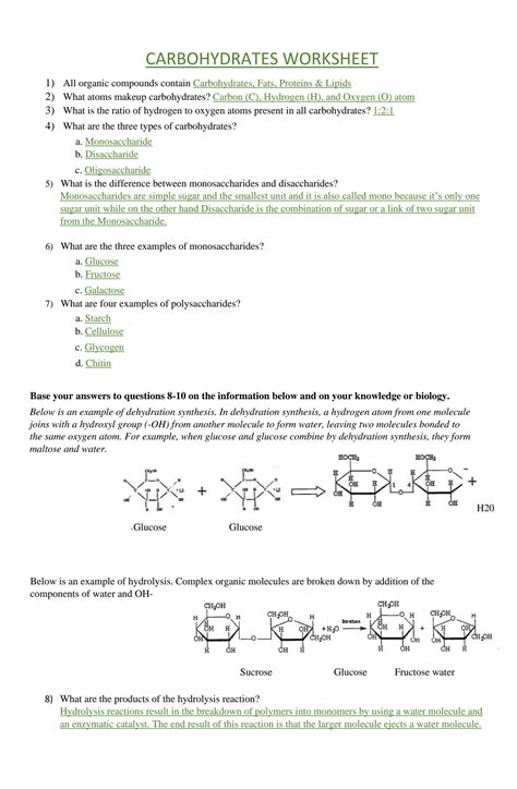 Icev Answer Key Carbohydrates PDF