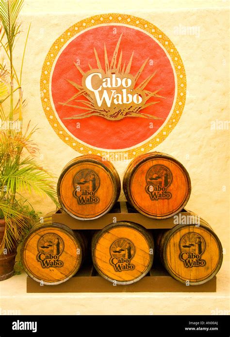 Iconic Cabo Wabo Designs