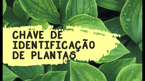 Identificação de plantas preferenciais: