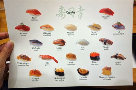 Identification Sashimi Fish Chart