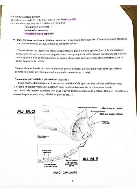 Identification des schÃ©mas LITT GENERALE French Edition Reader