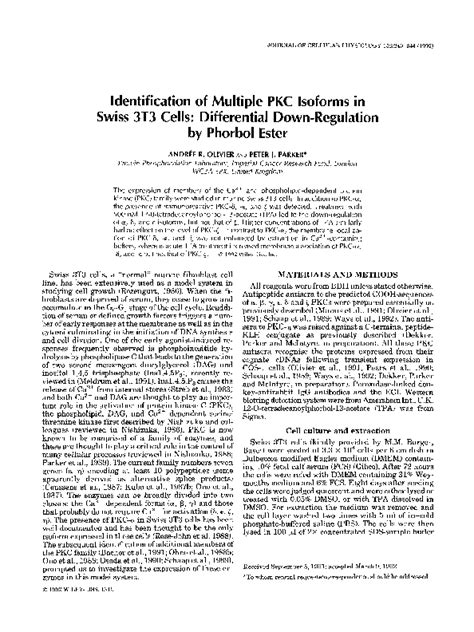 Identification of multiple PKC isoforms: