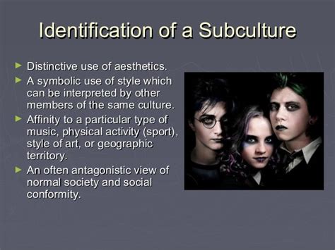 Identification with a subculture: