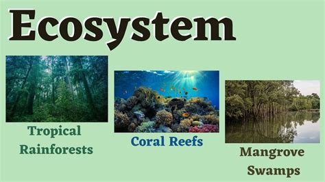 Identify Exotic Ecosystems: