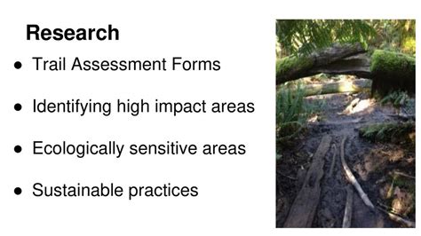 Identify High-Impact Areas: