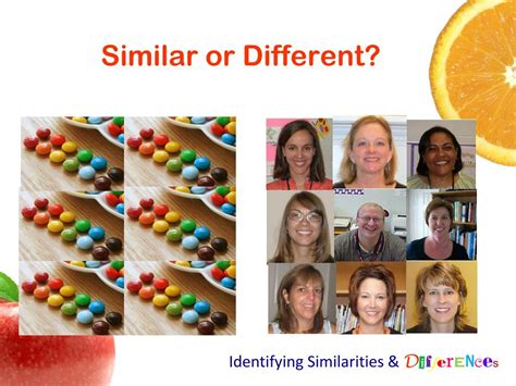 Identify Similarities: