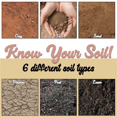 Identify Your Soil Type: