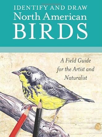 Identify and Draw North American Birds A Field Guide for the Artist and Naturalist Doc