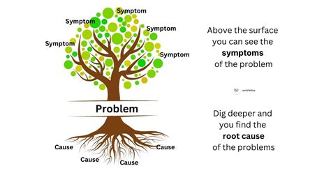 Identify the Root Causes: