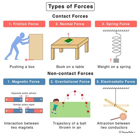 Identify the Two Forces: