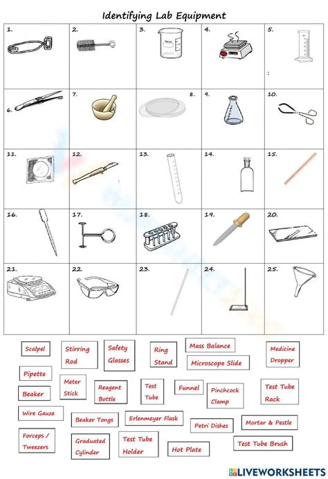 Identifying Lab Equipment Answers PDF