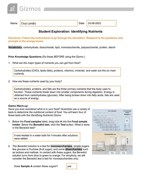 Identifying Nutrients Gizmo Answer Key Kindle Editon