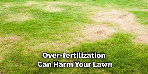 Identifying and Resolving Over-Fertilization in Your Lawn