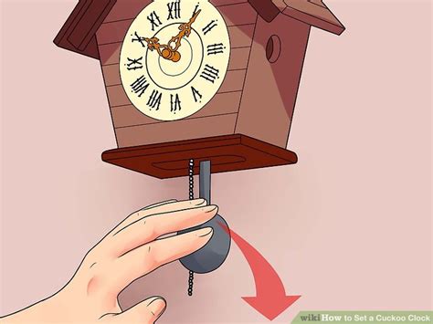 Identifying the Cause of Slow Cuckoo Clock